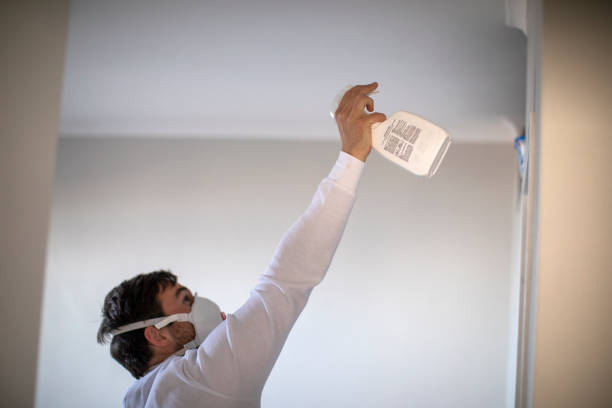 Best Attic Mold Removal  in Bedford Heights, OH