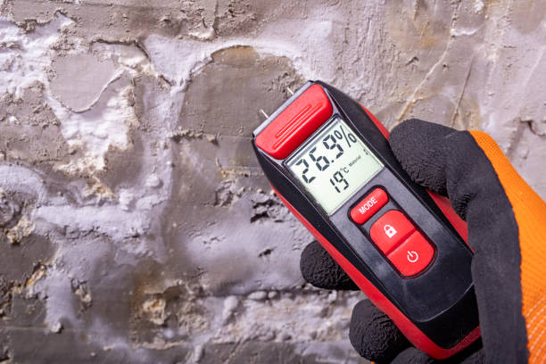 Best Crawl Space Mold Removal  in Bedford Heights, OH